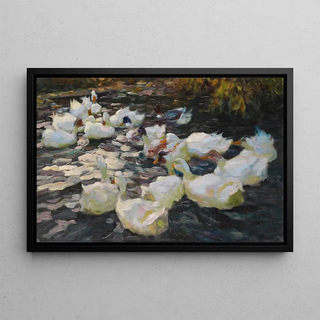 Alexander Koester - Ducks in the evening sun.webp