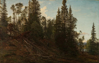 Amaldus Nielsen - Vingersheia Telemark.webp