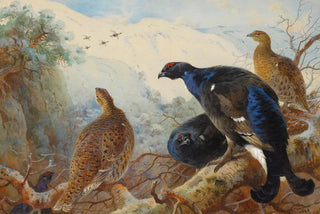 Archibald Thorburn - Blackgame.webp
