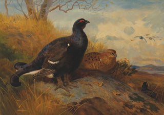 Archibald Thorburn - Blackgame on a rocky outcrop with a loch beyond.webp