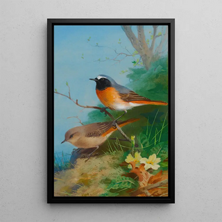 Archibald Thorburn - Pair Of Redstarts.webp