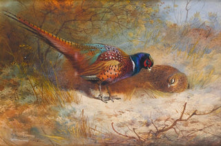Archibald Thorburn - Pheasants.webp