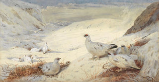 Archibald Thorburn - Ptarmigan in winter plumage signed and dated Archibald Thorburn 1899.webp