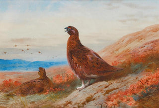 Archibald Thorburn - The Challenge.webp