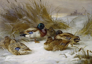 Archibald Thorburn - Winter Landscape With Mallard.webp