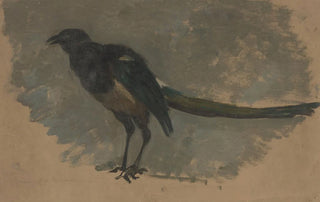 August Alleb - Studie van een ekster.webp
