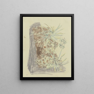 August Babberger - Study of plants 2.webp