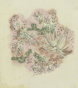 August Babberger - Study of plants 3.webp