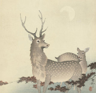 Deux cerfs - Ohara Koson