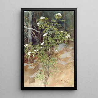 Eero Jrnefelt - White rowan.webp