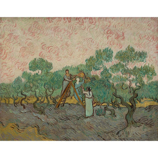 Femmes ramassant des olives - Vincent van Gogh | Reproduction Tableau Décoration murale affiche copie