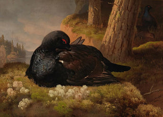 Ferdinand von Wright - Black Grouse.webp