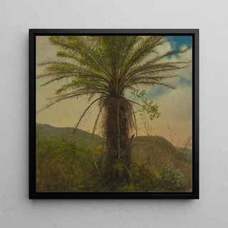 Frederic Edwin Church - Tree Fern Jamaica.webp