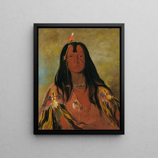 George Catlin - HcoAHcoAHcotesMin No Horns On His Head a Brave.webp