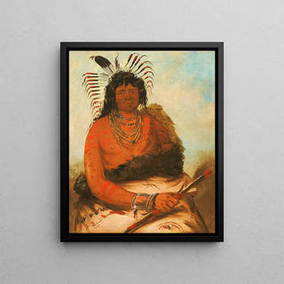 George Catlin - HhNee The Beaver a Warrior.webp