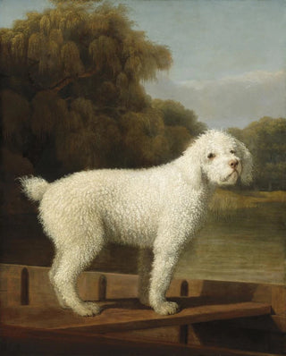 George Stubbs - White Poodle in a Punt.webp