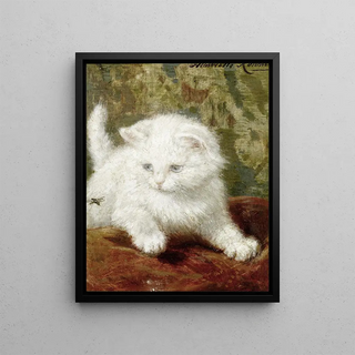 Henritte RonnerKnip - Curiosity.webp