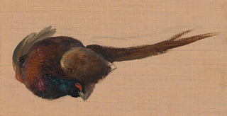 Johann Matthias Ranftl - Studie eines toten Fasanes.webp