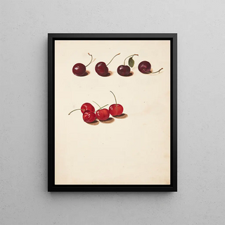 Johanna Fosie - Studie af kirsebr.webp