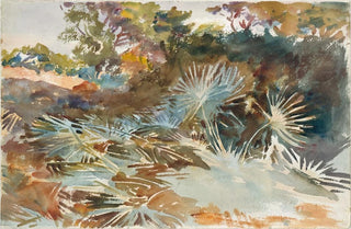 John Singer Sargent - Landscape with Palmettos.webp