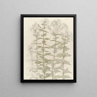 Julie de Graag - Studies van flox.webp