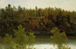 Marcus Larson - Swedish Lake Study.webp