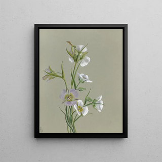 Mary Vaux Walcott - On the Road to Monument.webp