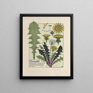 Maurice Pillard Verneuil - Pissenlit.webp