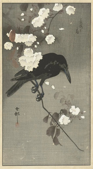 Ohara Koson - Crow with cherry blossom.webp