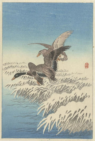 Ohara Koson - Flock of ducks flying above snowy reed collar.webp