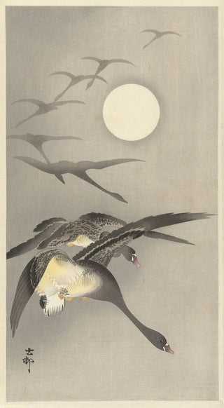 Ohara Koson - Geese at full moon.webp