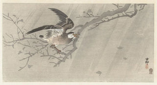 Ohara Koson - Gray starling in storm.webp