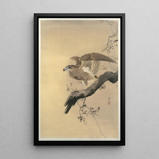 Ohara Koson - Hawk.webp