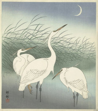 Ohara Koson - Herons in shallow water.webp
