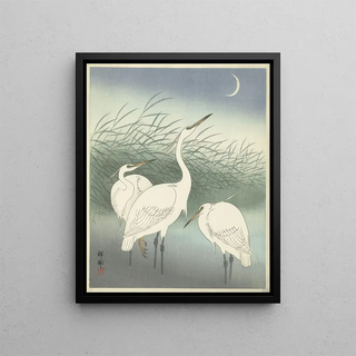 Ohara Koson - Herons in shallow water.webp