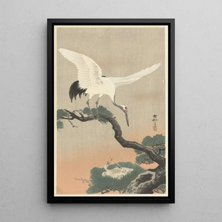 Ohara Koson - Japanese common crane on branch of pine.webp