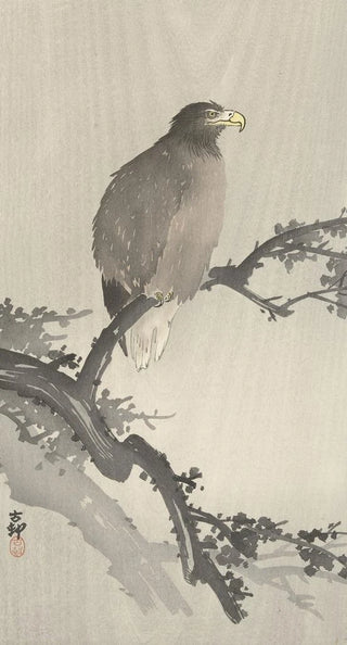 Ohara Koson - Whitetailed eagle on branch.webp