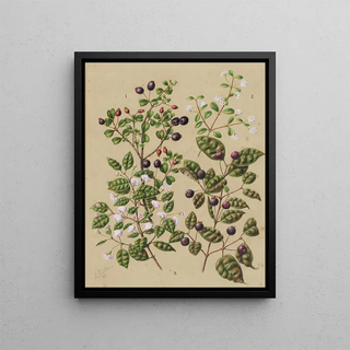 Sarah Featon - Rohutu Ramarama.webp