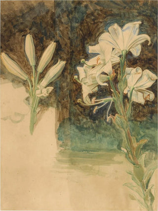William Holman Hunt - Study of Lilies for May Morning on Magdalen Tower.webp
