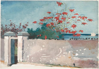Winslow Homer - A Wall Nassau.webp