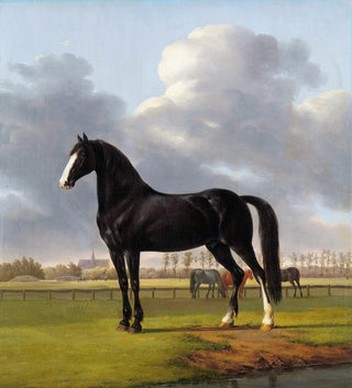 Adriaan van der Hoops Trotter De Vlugge Le Rapide dans un pré - Anthony Oberman