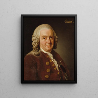 Alexander Roslin - Carl von Linn 17071778 botanist professor.webp