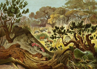 Alfred Edmund Brehm - Die Insekten Tausendfussler und Spinnen Pl 16.webp
