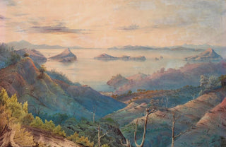 Alfred Sharpe - Sunset on the Kikowhakarere Gorges at Coromandel.webp