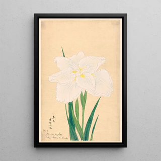 Anonymous - Sky Between the Clouds Kumoma no Sora.webp