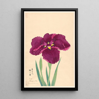 Anonymous - Sword Dance Tsurugi no Mai.webp