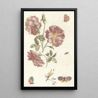 Anonymous - Twee takken met rozen vier vlinders en een slak.webp