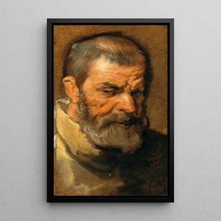 Anthony van Dyck - Head Of A Bearded Man.webp