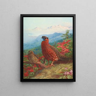 Archibald Thorburn - The Satyr Tragopan.webp