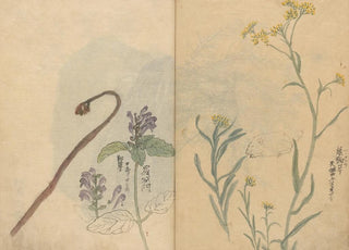 Ariyoshi Kondo - Sketchbook Pl033.webp